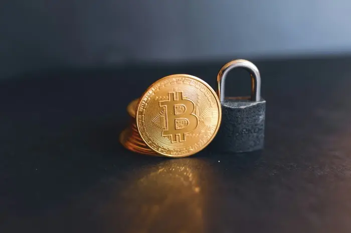 Bitcoin Cash (BCH)