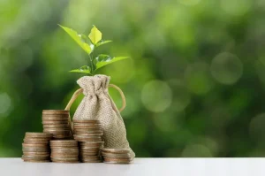 Strategi Efektif untuk Memaksimalkan Keuntungan Investasi Reksa Dana