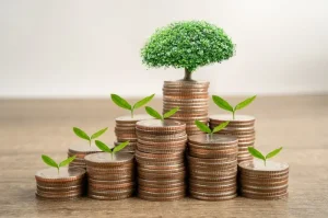 5 Tips Memilih Reksa Dana Pasar Uang dengan Risiko Rendah