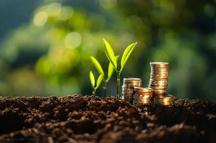 Halal atau Haram Memahami Investasi Saham Dalam Islam