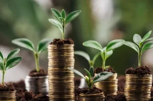Perbandingan Reksadana Pasar Uang dengan Opsi Investasi Lainnya