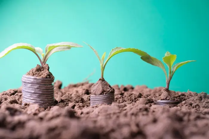 Startup Anda Butuh Investor Terapkan 5 Strategi Efektif Ini