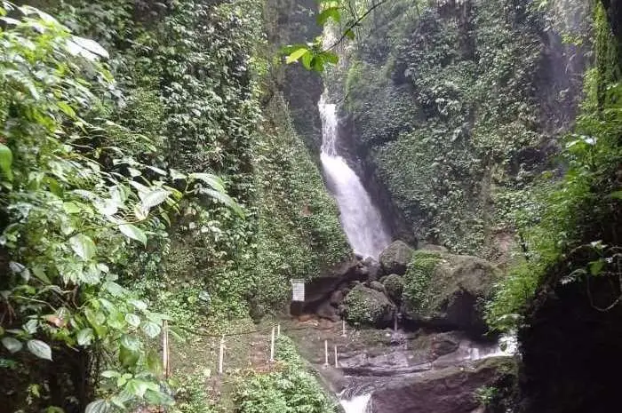 Aktivitas Menarik Curug Walet