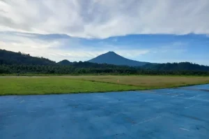 Karpet Biru Manado