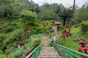 Goa Seplawan, Destinasi Eksotis dengan Stalaktit Indah di Purworejo