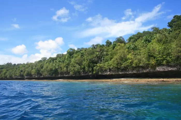 Pulau Kakaban, Danau Tersembunyi di Tengah Keindahan Hutan Tropis Kalimantan Timur